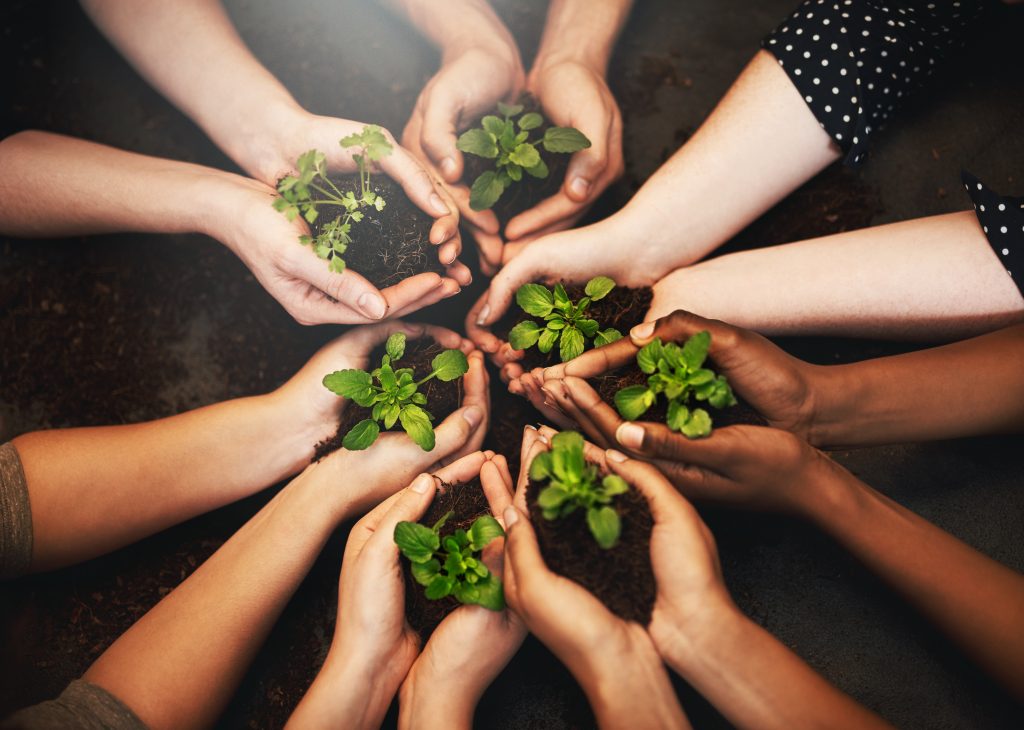 Mãos diversas segurando mudas de plantas simbolizando sustentabilidade e responsabilidade ambiental 