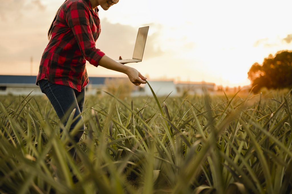 Principais requisitos para notebooks para agricultura de precisão